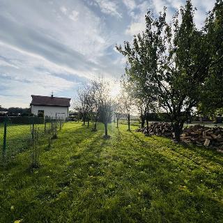 Prodej stavební parcely Střeň