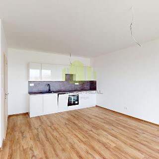 Prodej bytu 2+kk 56 m² Olomouc, Topolová