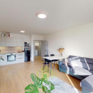 Pronájem bytu 2+kk 65 m² Olomouc, Camilla Sitteho