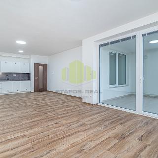 Prodej bytu 2+kk 66 m² Olomouc, Janského