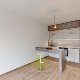 Pronájem bytu 1+kk a garsoniéry 28 m² Olomouc Povel, Janského