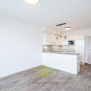 Pronájem bytu 1+kk a garsoniéry 35 m² Olomouc, Wittgensteinova