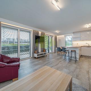 Pronájem rodinného domu 138 m² Olomouc, Zolova