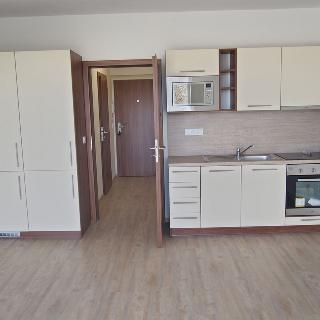 Prodej bytu 1+kk a garsoniéry 33 m² Olomouc, Topolová