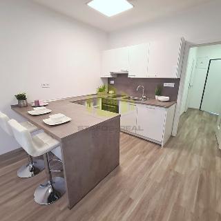 Pronájem bytu 1+kk a garsoniéry 33 m² Olomouc, Tovární