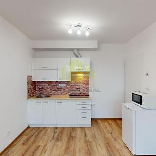 Pronájem bytu 1+kk a garsoniéry 34 m² Olomouc, Camilla Sitteho