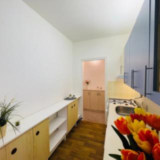 Pronájem bytu 2+1 61 m² Vyškov