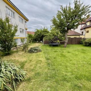 Pronájem zahrady 299 m² Vyškov -Město, Kašíkova