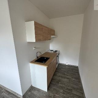 Pronájem bytu 1+kk a garsoniéry 30 m² Ústí nad Labem, Anežky České