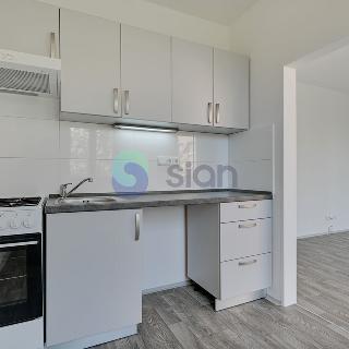 Pronájem bytu 2+1 44 m² Ostrava, Václava Košaře