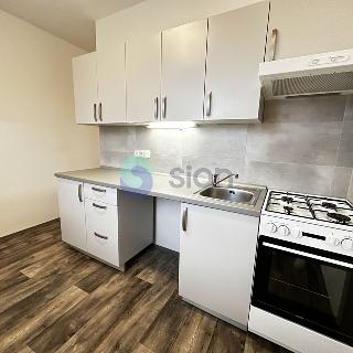 Pronájem bytu 1+1 36 m² Ostrava, Volgogradská