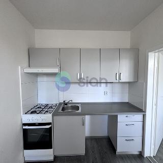 Pronájem bytu 2+1 44 m² Ostrava, Horymírova