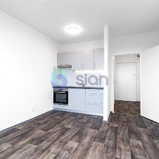 Pronájem bytu 1+kk a garsoniéry 28 m² Ostrava, Čujkovova