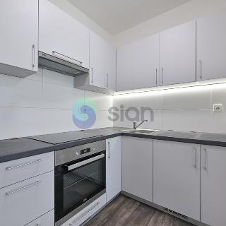 Pronájem bytu 2+kk 47 m² Ostrava, Havířská