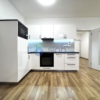 Pronájem bytu 1+kk a garsoniéry 44 m² Ostrava, Jantarová