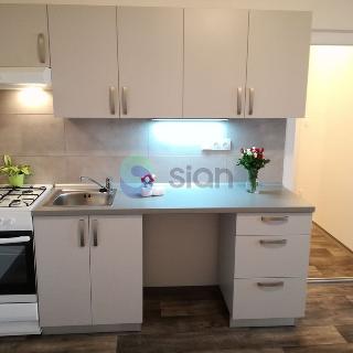 Pronájem bytu 2+kk 49 m² Ostrava