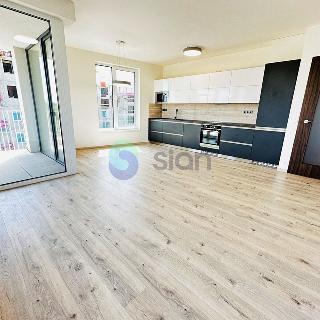 Pronájem bytu 2+kk 60 m² Ostrava