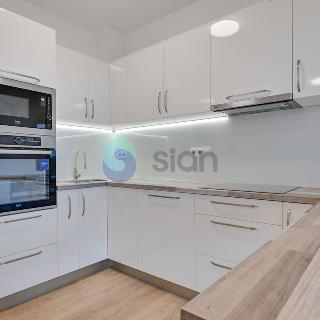 Pronájem bytu 3+kk 85 m² Ostrava