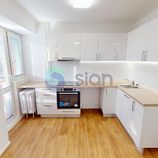 Pronájem bytu 2+kk 41 m² Ostrava, Průběžná