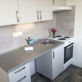 Pronájem bytu 1+1 31 m² Ostrava Výškovice, 29. dubna