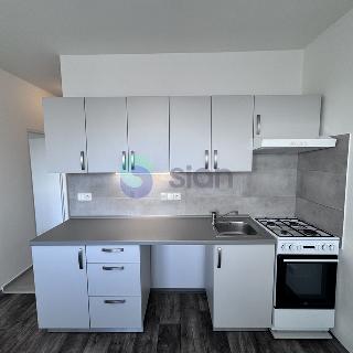 Pronájem bytu 1+1 36 m² Ostrava, Výškovická