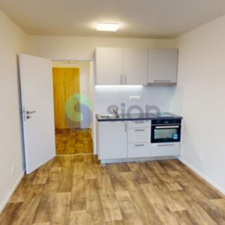 Pronájem ostatního komerčního prostoru 20 m² Ostrava Nová Ves, Paličkova