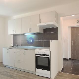 Prodej bytu 2+1 49 m² Ostrava, Gurťjevova