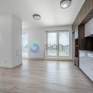 Pronájem bytu 2+kk 75 m² Ostrava, Stanislavského