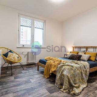 Pronájem bytu 3+1 65 m², Jiřího Herolda