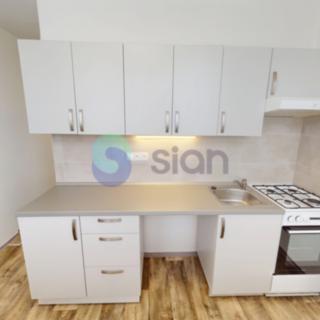 Pronájem bytu 1+1 37 m² Ostrava Hrabůvka, Josefa Kotase