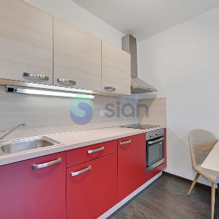 Pronájem bytu 2+kk 9 986 m² Ostrava, Jantarová