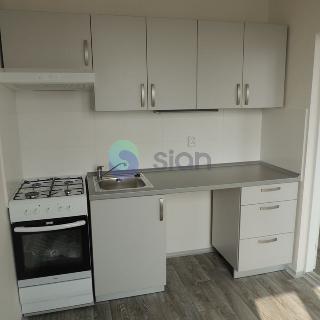 Pronájem bytu 2+1 44 m² Ostrava, Ladislava Hosáka