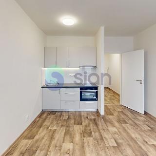 Pronájem bytu 1+kk a garsoniéry 30 m² Ostrava, 30. dubna