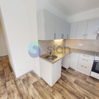 Pronájem bytu 1+1 37 m² Ostrava, Lumírova