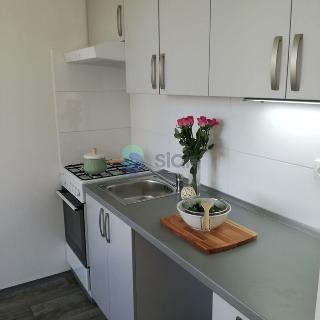 Pronájem bytu 2+1 44 m² Ostrava, Františka Formana