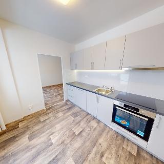 Pronájem bytu 1+1 40 m² Ostrava, Pavlovova