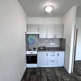 Pronájem bytu 1+kk a garsoniéry 27 m² Ostrava, Gen. Janouška