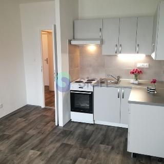 Pronájem bytu 2+kk 44 m² Ostrava, Antonína Poledníka