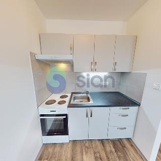 Pronájem bytu 1+kk a garsoniéry 28 m² Ostrava, Výškovická