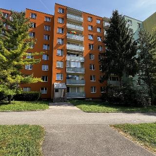 Pronájem bytu 3+1 70 m² Brno, Krymská