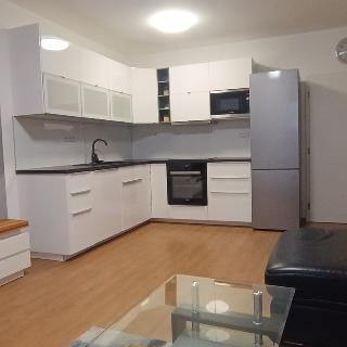 Pronájem bytu 2+kk 49 m² Praha, Anny Rybníčkové