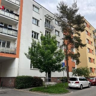 Pronájem bytu 3+kk 63 m² Pardubice, Na Hrádku