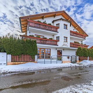 Prodej hotelu, penzionu 566 m&sup2; Nová Pec