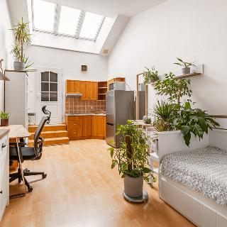 Prodej bytu 1+kk a garsoniéry 26 m² Praha, Štúrova