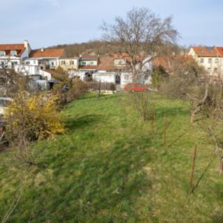 Prodej hotelu a penzionu 207 m² Brno, Štursova