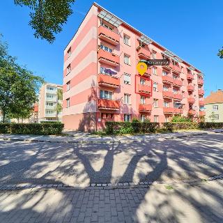 Prodej bytu 2+1 55 m² Břeclav, Fintajslova