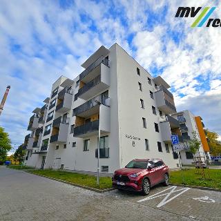 Pronájem bytu 2+kk 55 m² Nymburk, V Kolonii