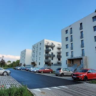 Pronájem bytu 3+kk 68 m² Poděbrady, Nerudova