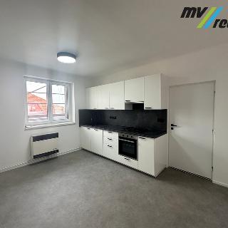 Pronájem bytu 3+kk 60 m² Nymburk, Park v Kolonii