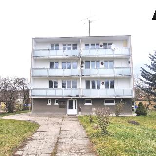 Pronájem bytu 3+1 69 m² Sadská, Pražská